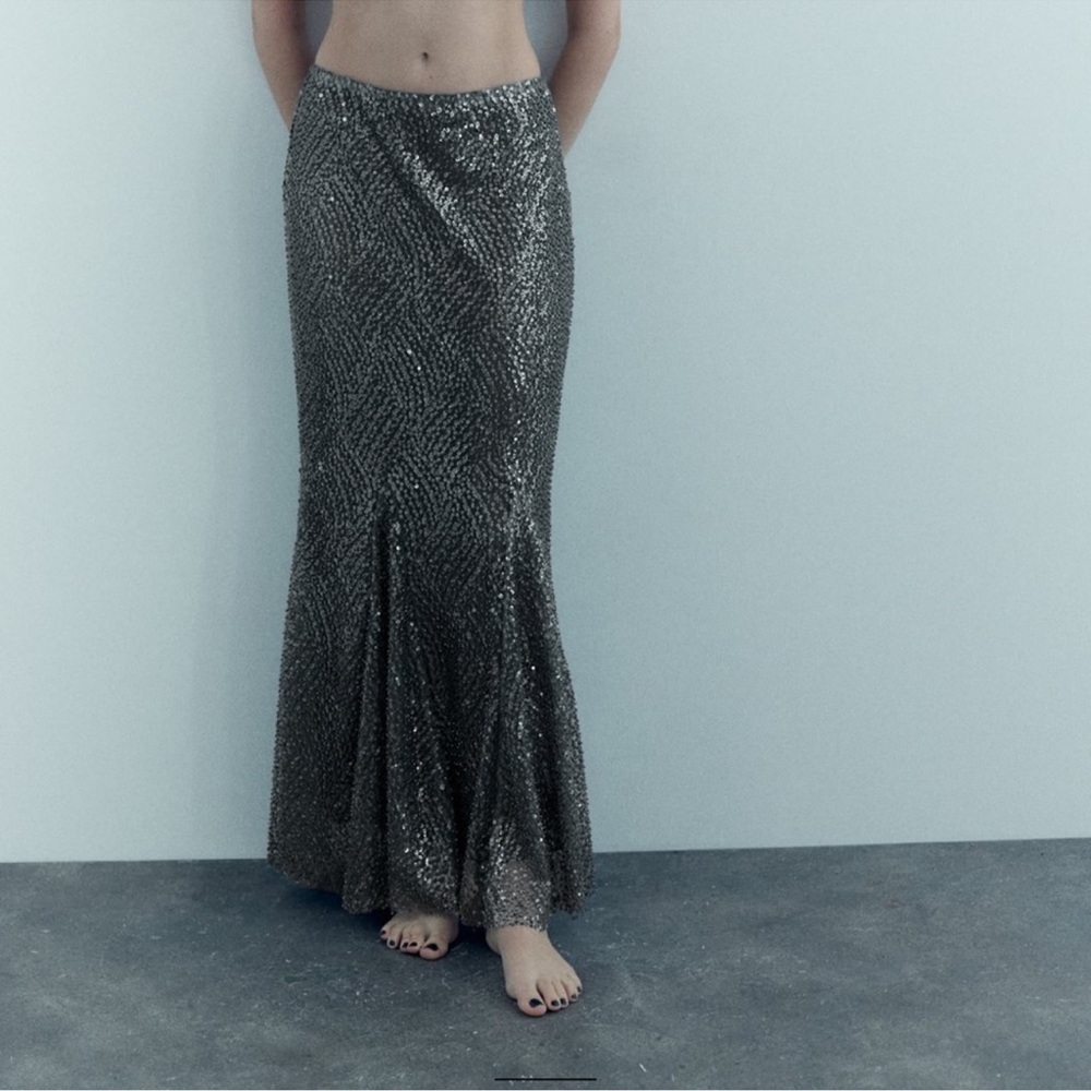 Zara Long Sequin Skirt
